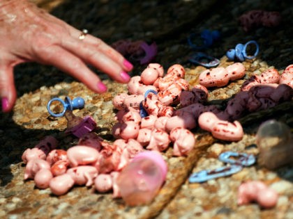 An anti-abortion activists picks up plastic unborn fetuses during an event to "beat and ha