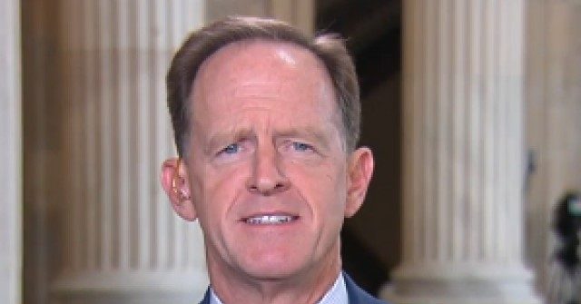 Toomey: 'Undemocratic' Woke Banks Will 'End Up Being Treated Like a Public Utility' if They …