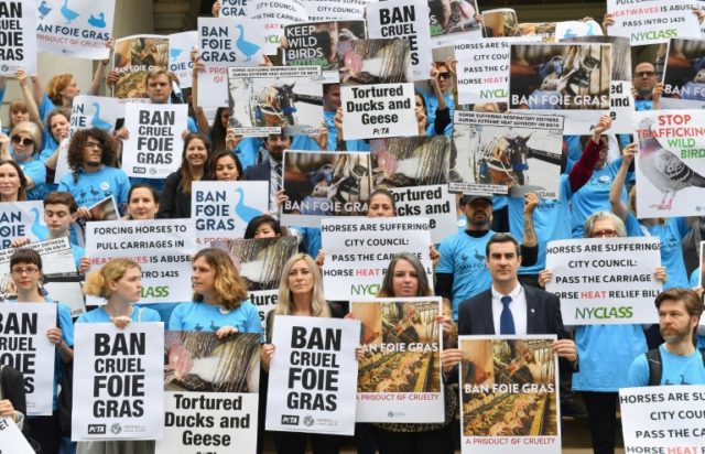 People who support a ban on foie gras demonstrate outside City Hall in New York on June 18, 2019 New York debates banning sales of foie gras