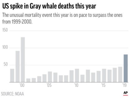 The Associated Press
