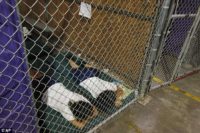 Kids in Cages 2014