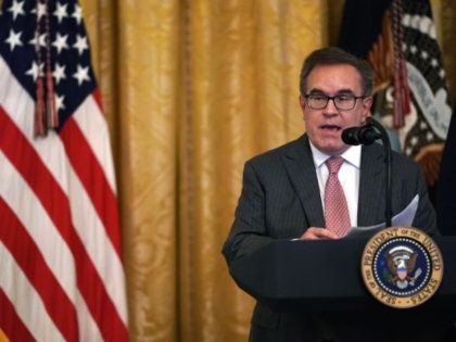 WASHINGTON, DC - JULY 08: U.S. Environmental Protection Agency Administrator Andrew Wheeler speaks during an East Room event on the environment July 7, 2019 at the White House in Washington, DC. President Trump delivered remarks on “his Administration’s environmental accomplishments of cleaner air and cleaner water, including helping communities across …