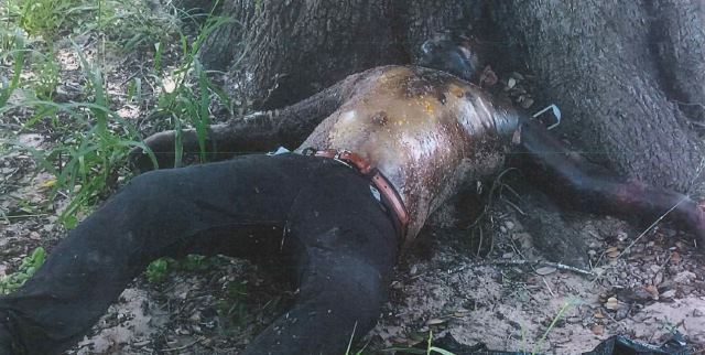 Remains of a deceased migrant found by Brooks County Sheriff's investigators on July 3. (Photo: Brooks County Sheriff's Office)