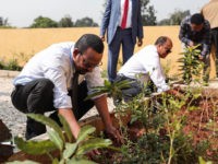 Ethiopia-prime-minister