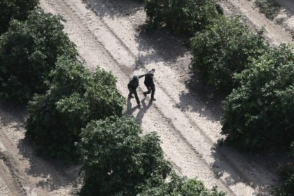 MCALLEN, TX - NOVEMBER 06: A U.S. Border Patrol agent detains an undocumented immigrant in an orange grove on November 6, 2018 in McAllen, Texas. Border Patrol agents on the ground, assisted by a helicopter unit of U.S. Air and Marine Operations agents, detained a group of immigrants who had …