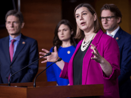 Rep. Elissa Slotkin (D-MI) speaks during news conference on the "Shutdown to End All Shutdowns (SEAS) Act" on January 29, 2019 in Washington, DC. Also pictured are Rep. Tom Molinowski (D-NJ), Rep. Angie Craig (D-MN), and Rep. Dean Phillips (D-MN). (Photo by Zach Gibson/Getty Images)
