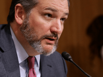 Senate Aviation and Space Subcommittee Chairman Ted Cruz (R-TX) questions witnesses during a hearing in the Dirksen Senate Office Building on Capitol Hill on May 14, 2019 in Washington, DC. In the wake of President Donald Trump's orders to create a military Space Force, NASA Administrator Jim Bridenstine testified about …