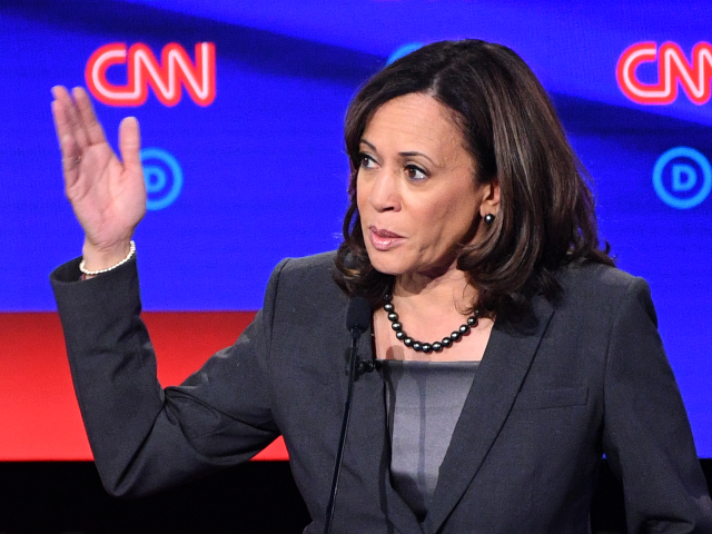 Democratic presidential hopeful US Senator from California Kamala Harris gestures as she speaks during the second round of the second Democratic primary debate of the 2020 presidential campaign season hosted by CNN at the Fox Theatre in Detroit, Michigan on July 31, 2019. (Photo by Jim WATSON / AFP) (Photo …