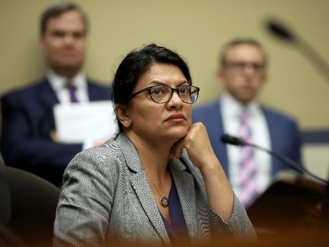 Rep. Rashida Tlaib (D-MI) listens as acting Homeland Security Secretary Kevin McAleenan testifies before the House Oversight and Reform Committee on July 18, 2019 in Washington, DC. The hearing is on "The Trump Administration's Child Separation Policy." (Photo by Win McNamee/Getty Images)