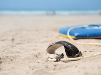 boogie board