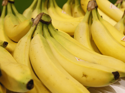 Bananas from the French Antilles (French West Indies) are exhibited during the 2015 edition of the Paris International Agricultural Show on February 22, 2015 at the Agricultural Fair in Paris. The event runs until March 1, 2015. AFP PHOTO / PATRICK KOVARIK (Photo credit should read PATRICK KOVARIK/AFP/Getty Images)