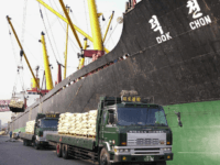 This file photo dated 18 January 2001 shows trucks at the port in Osaka stopped beside the 16,104-ton North Korean freighter Dok Chon to load bags of rice for shipment in aid to North Korea. Most North Korean ships were effectively barred from entering Japan from 01 March 2005 as …