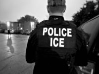 ICE Raids