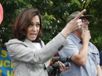 Kamala Harris (Rhona Wise / AFP / Getty)