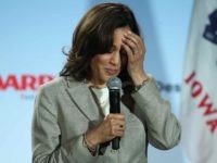 Kamala Harris (Justin Sullivan / Getty)