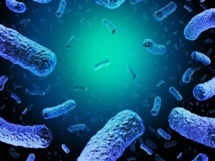 Listeria medical concept as a group of dangerous bacteria causing illness as a health care