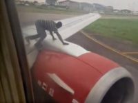 Man Climbs on Plane Wing