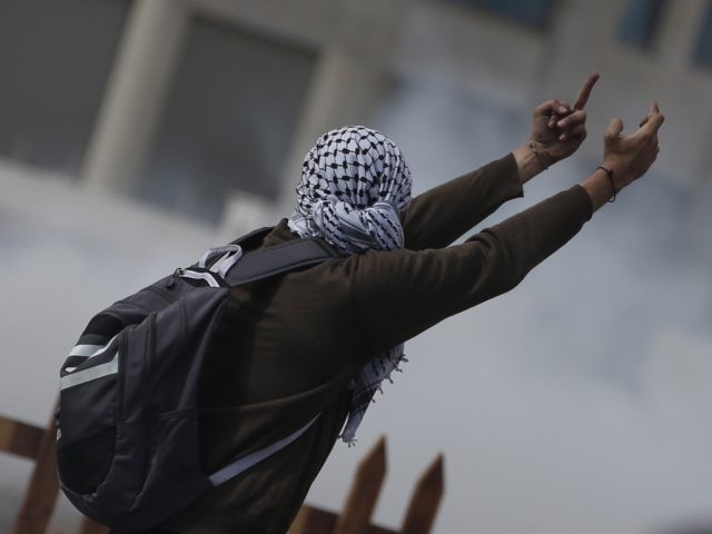 Palestinian rioter (Abbas Momani / Getty)