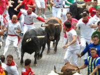 Participants run next to a Cebada Gago fighting bulls on the second bullrun of the San Fermin festival in Pamplona, northern Spain on July 8, 2019. - On each day of the festival six bulls are released at 8:00 a.m. (0600 GMT) to run from their corral through the narrow, …