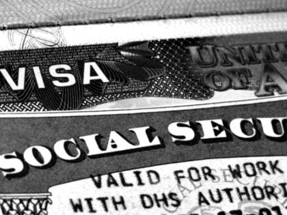Social Security Card, Work Visa