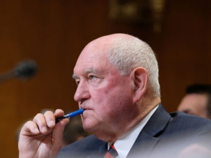 WASHINGTON, DC - APRIL 11: Agriculture Secretary Sonny Perdue testifies at a Senate hearing on April 11, 2019 in Washington, DC. The hearing focused on the 2020 funding request and budget justification for the Agriculture Department. (Photo by Alex Wroblewski/Getty Images)
