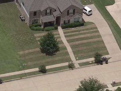 Cameron James, 17, of Haslet, Texas, mowed a giant American flag into the front lawn of hi