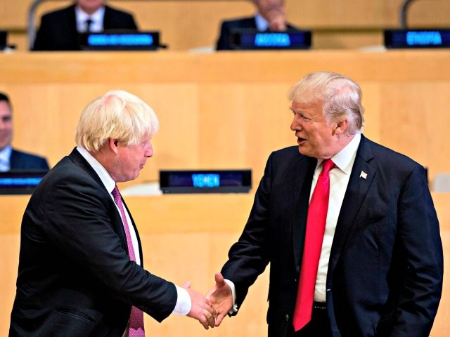 British Foreign Secretary Boris Johnson (L) and US President Donald Trump greet before a m