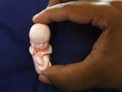 Picture of a figure representing a three-month-old fetus taken on March 12, 2008 at the altar of the Catholic church Nossa Senhora da Paz in Rio de Janiero's Ipanema neighbourhood on March 12, 2008 where it was put to protest against abortion. More than 600 such figures were distributed among …