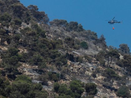 A helicopter tries to extinguish the blaze of a forest fire on Mount Tabor in northern Isr