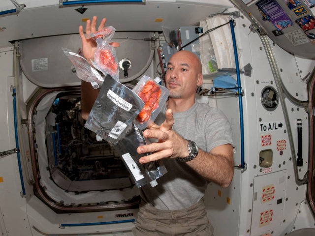 European Space Agency astronaut Luca Parmitano, Expedition 36 flight engineer, is pictured