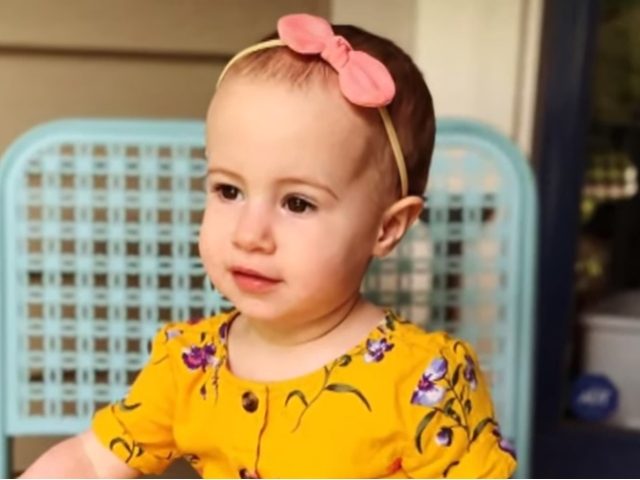 The family of a toddler who died after her grandfather allegedly dropped her from the wind