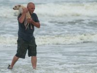 DAYTONA BEACH, FL - OCTOBER 6: Brian Johns, from Monroe, Michigan, carries his dog Buddy to the shore after the two of them played in the ocean along Daytona Beach, October 6, 2016 in Daytona Beach, Florida. With Hurricane Matthew approaching the Atlantic coast of the United States, the governors …