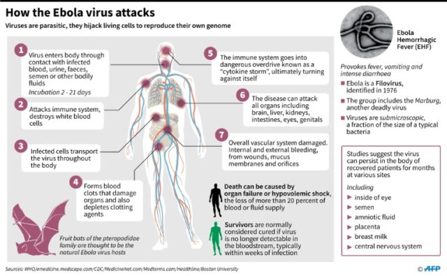 Ebola: Profile of a killer