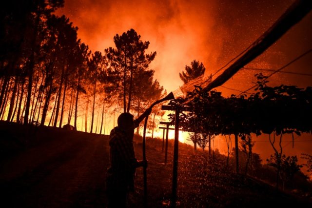 Portugal wildfires under control, but strong winds pose risk Portugal wildfires under control, but strong winds pose risk