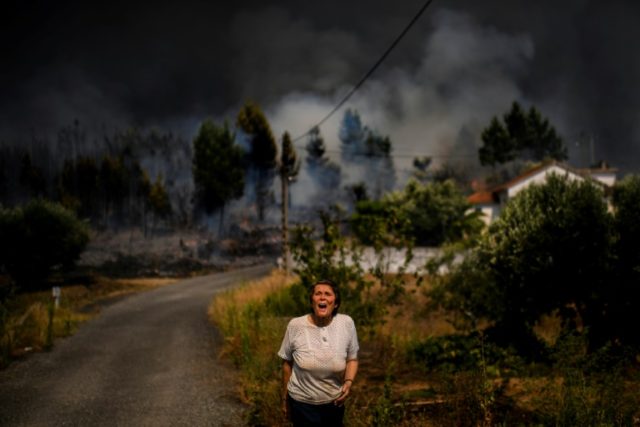 Firefighters struggle against Portugal wildfires as winds pick up