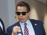 Mooch Mandates Vaccines: ‘Don’t Want to Get Vaccinated, Leave’