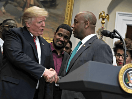 WASHINGTON, DC - DECEMBER 12: U.S. President Donald Trump (L) shakes hands with Sen. Tim Scott (R-SC) (L) during a signing event of an executive order to establish the White House Opportunity and Revitalization Council look on December 12, 2018 at the Roosevelt Room of the White House in Washington, …