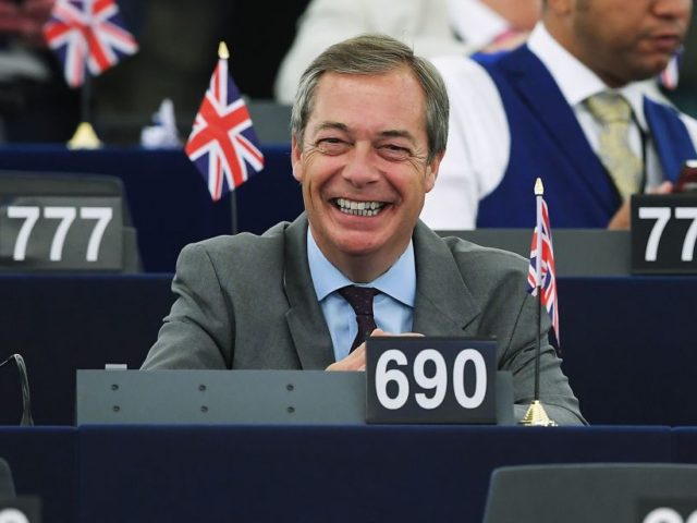 Former UK Independence Party (UKIP) leader, Brexit campaigner and member of the European P