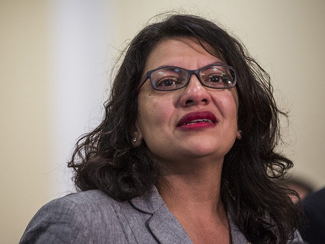 WASHINGTON, DC - JULY 10: Rep. Rashida Tlaib (D-MI) speaks during a press conference preceding a House Oversight and Reform subcommittee hearing on Capitol Hill on July 10, 2019 in Washington, DC. The subject of the hearing was civil rights and civil liberties and migrant detention centers' treatment of children. …