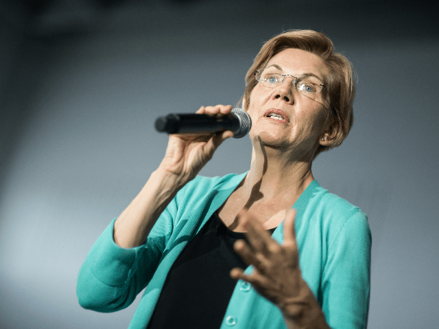 Democratic presidential candidate, Sen. Elizabeth Warren (D-MA) addresses a crowd at a tow