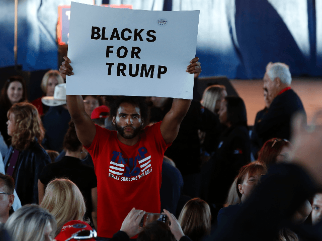 A man hold a "Blacks for Trump" sign as he waits to see US Republican presidential nominee Donald Trump address supporters at Freedom Hill Amphitheater on November 6, 2016 in in Sterling Heights, Michigan. Donald Trump barnstorms five states Sunday while Hillary Clinton implores her most fervent supporters to get …