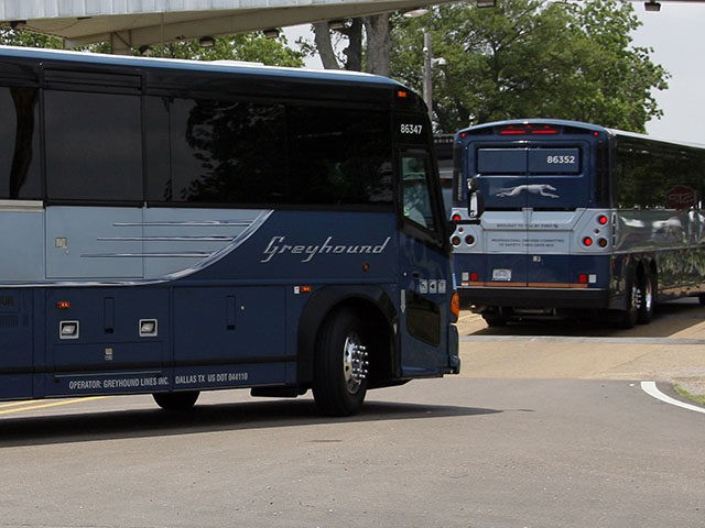 Greyhound buses bring a couple hundred Freedom Riders, their families and students to the