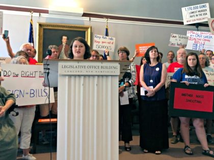 Zandra Rice Hawkins, Executive Director, Granite State Progress, speaks as supporters of g