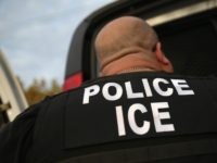 LOS ANGELES, CA - OCTOBER 14: U.S. Immigration and Customs Enforcement (ICE), agents detain an immigrant on October 14, 2015 in Los Angeles, California. ICE agents said the immigrant, a legal resident with a Green Card, was a convicted criminal and member of the Alabama Street Gang in the Canoga …