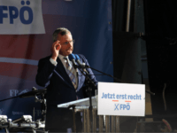 Austrian Freedom Party leader Norbert Hofer at a rally in Vienna during the 2019 European elections.