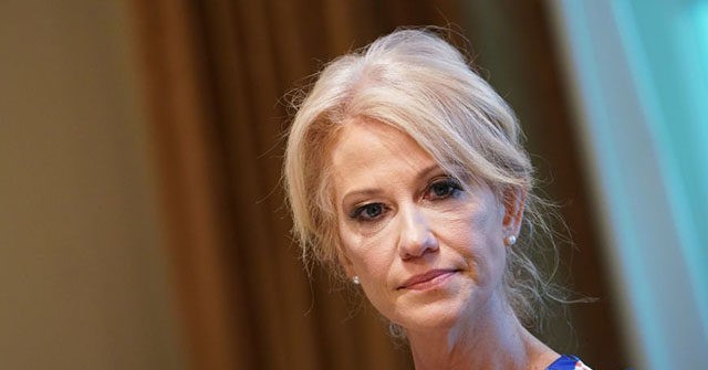 kelly anne conway witch on a broom kelly anne conway witch on a broom