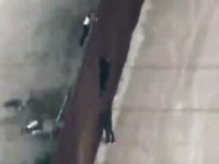 A man on the U.S. side of the border in San Diego climbs a ladder to help to migrants attempt to cross the new border wall. The technology delayed the migrants long enough for Border Patrol agents to respond and disrupt the effort. (Photo: U.S. Customs and Border Protection video …