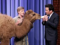 PETAFallon1