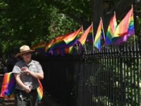 Pride flags on fence