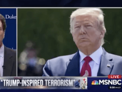 MSNBC chyron Trump-inspired terrorism (Screenshot / MSNBC)